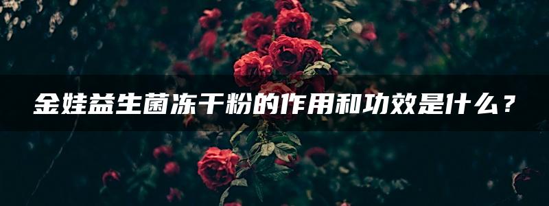 金娃益生菌冻干粉的作用和功效是什么？