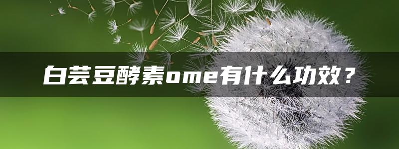 白芸豆酵素ome有什么功效？