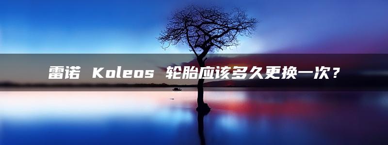 雷诺 Koleos 轮胎应该多久更换一次？