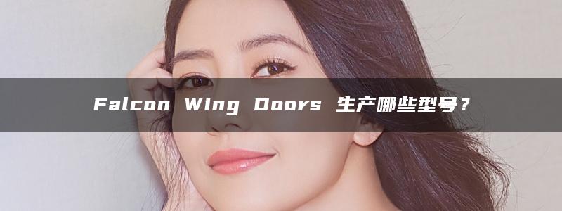 Falcon Wing Doors 生产哪些型号？