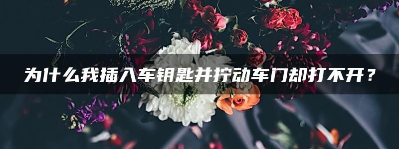 为什么我插入车钥匙并拧动车门却打不开？