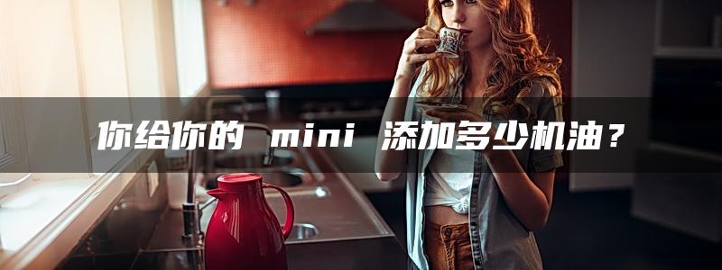 你给你的 mini 添加多少机油？