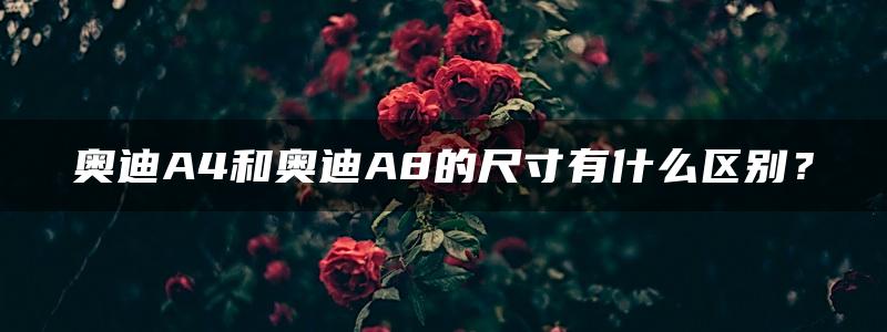 奥迪A4和奥迪A8的尺寸有什么区别？