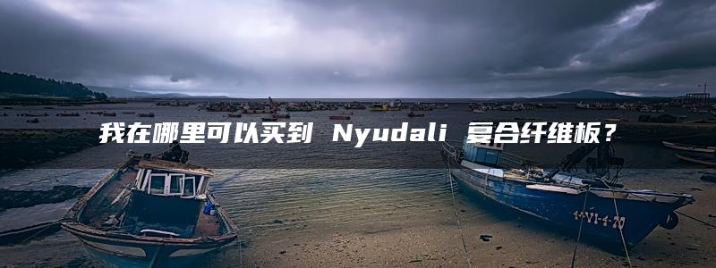 我在哪里可以买到 Nyudali 复合纤维板？