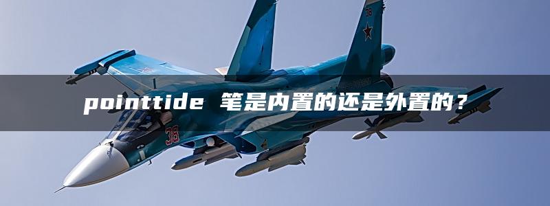 pointtide 笔是内置的还是外置的？