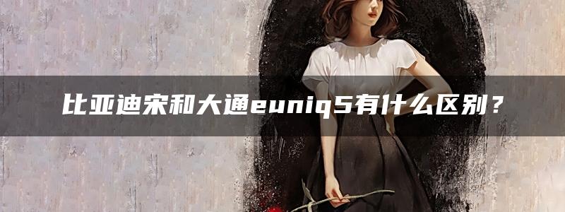 比亚迪宋和大通euniq5有什么区别？