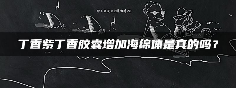 丁香紫丁香胶囊增加海绵体是真的吗？