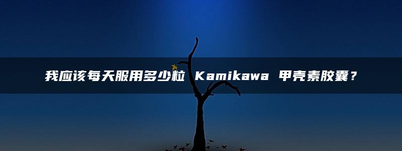 我应该每天服用多少粒 Kamikawa 甲壳素胶囊？