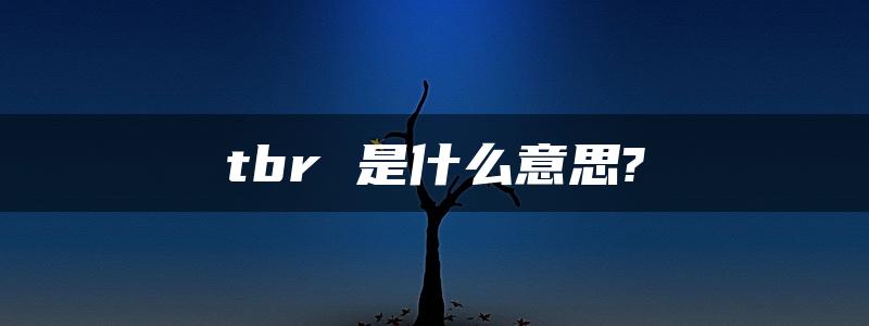 tbr 是什么意思?