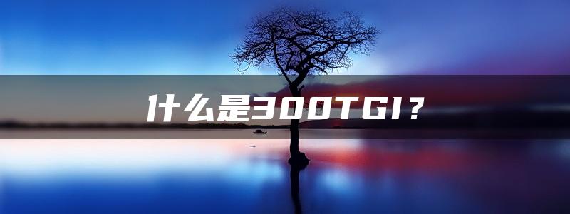 什么是300TGI？