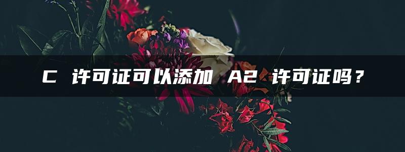 C 许可证可以添加 A2 许可证吗？