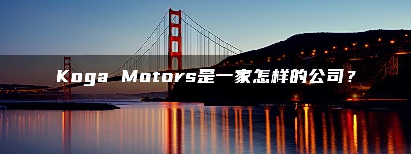 Koga Motors是一家怎样的公司？