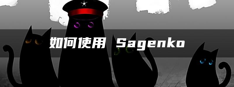 如何使用 Sagenko