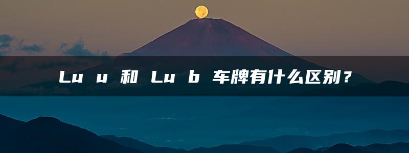 Lu u 和 Lu b 车牌有什么区别？