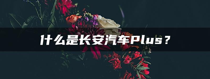 什么是长安汽车Plus？