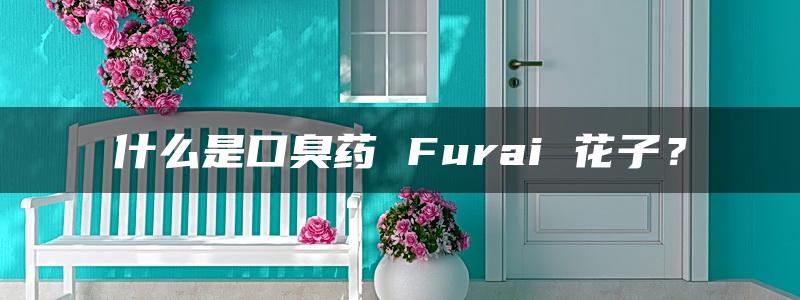 什么是口臭药 Furai 花子？