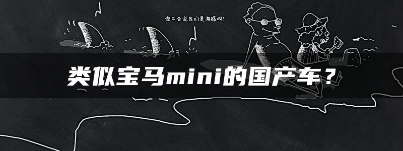 类似宝马mini的国产车？