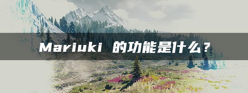 Mariuki 的功能是什么？