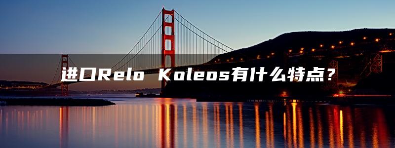 进口Relo Koleos有什么特点？