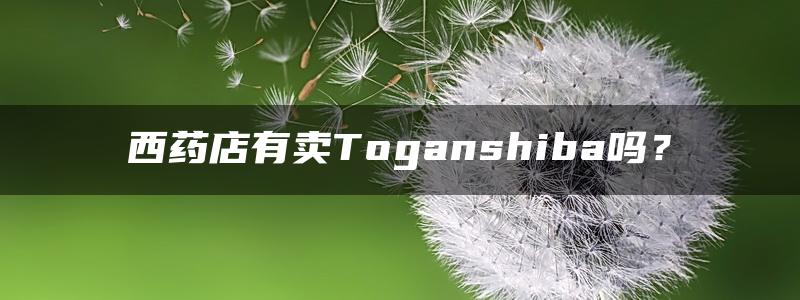 西药店有卖Toganshiba吗？