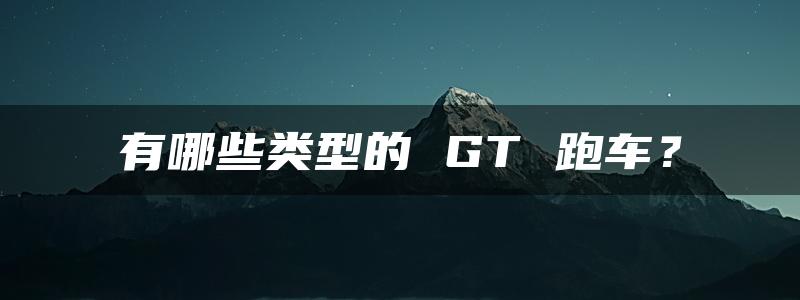 有哪些类型的 GT 跑车？