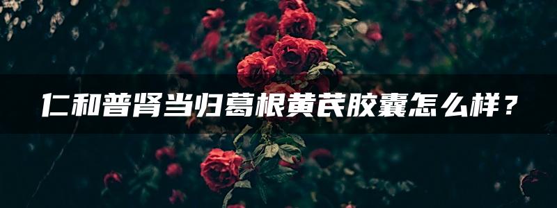 仁和普肾当归葛根黄芪胶囊怎么样？