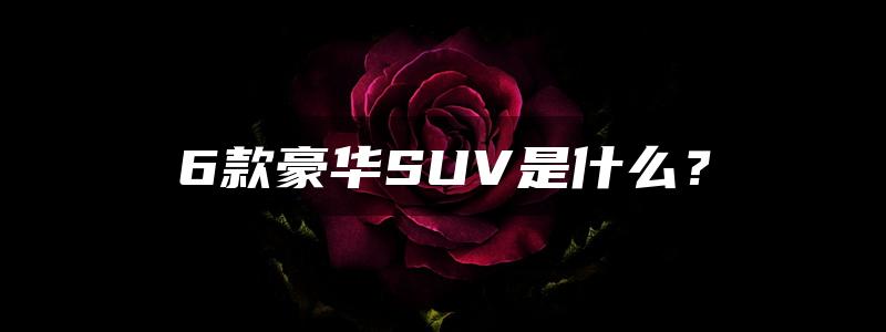 6款豪华SUV是什么？