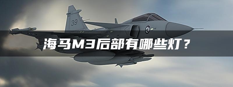 海马M3后部有哪些灯？