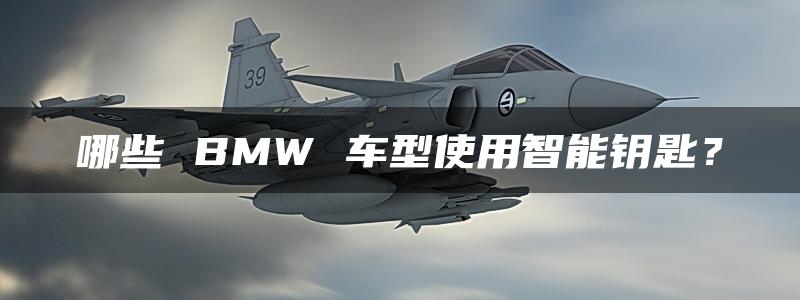 哪些 BMW 车型使用智能钥匙？