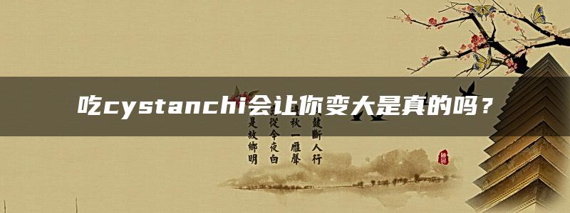 吃cystanchi会让你变大是真的吗？