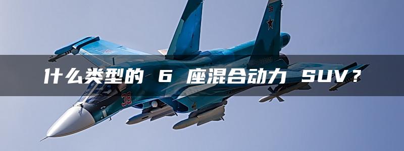 什么类型的 6 座混合动力 SUV？