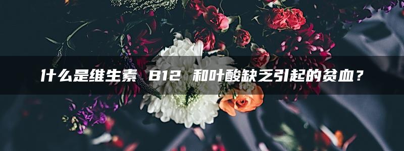 什么是维生素 B12 和叶酸缺乏引起的贫血？