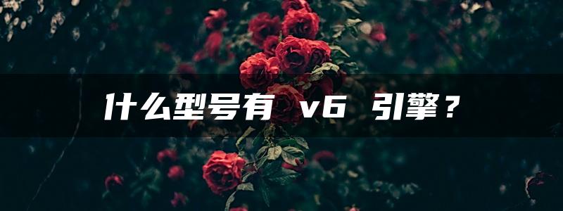 什么型号有 v6 引擎？