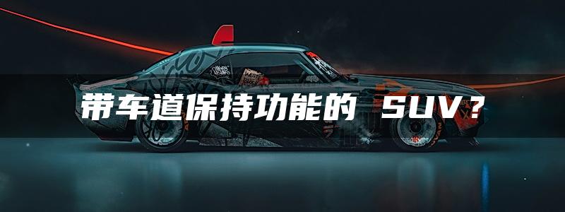 带车道保持功能的 SUV？