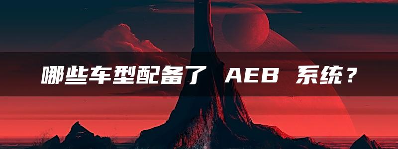 哪些车型配备了 AEB 系统？