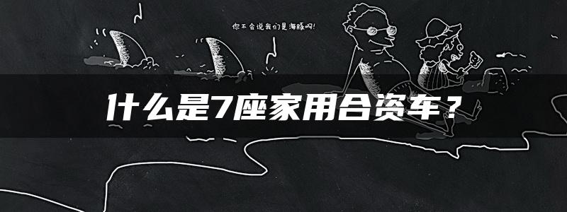 什么是7座家用合资车？