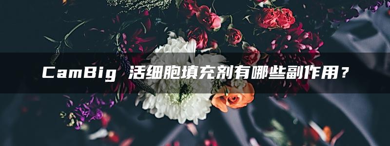 CamBig 活细胞填充剂有哪些副作用？