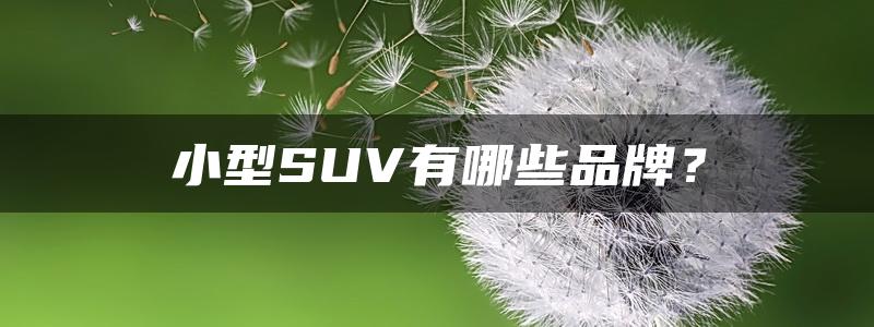 小型SUV有哪些品牌？