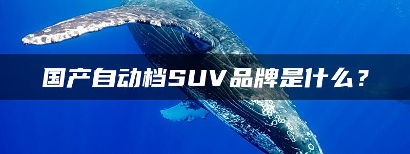 国产自动档SUV品牌是什么？