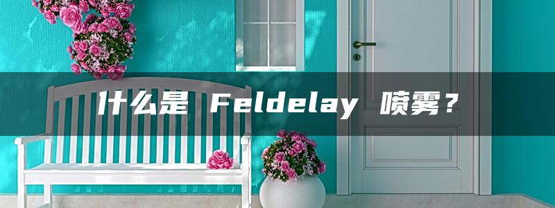 什么是 Feldelay 喷雾？