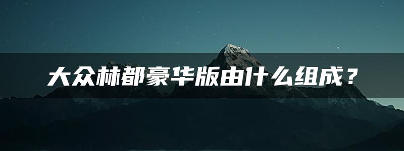 大众林都豪华版由什么组成？