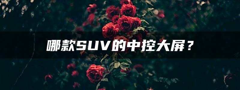 哪款SUV的中控大屏？