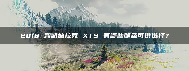 2018 款凯迪拉克 XTS 有哪些颜色可供选择？