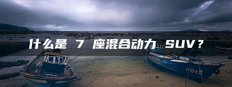 什么是 7 座混合动力 SUV？