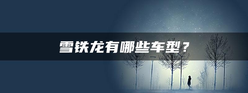 雪铁龙有哪些车型？