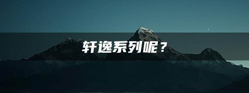 轩逸系列呢？