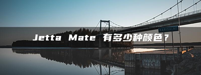 Jetta Mate 有多少种颜色？