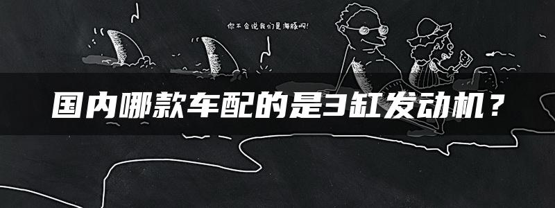 国内哪款车配的是3缸发动机？