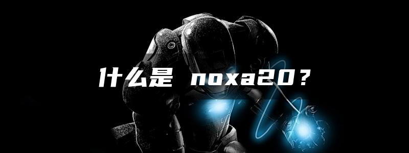 什么是 noxa20？