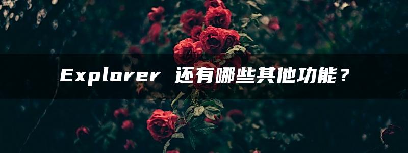 Explorer 还有哪些其他功能？